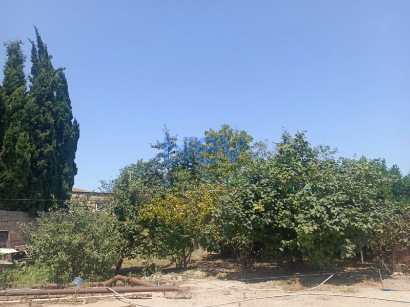 Satış  otaqlı Torpaq  6m², Bakı
