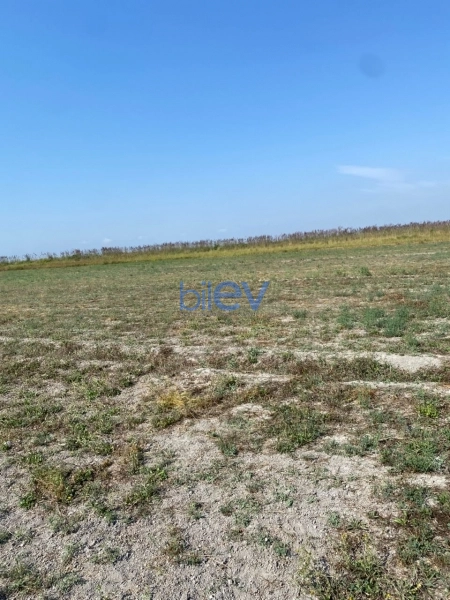 Satış  otaqlı Torpaq  20000m², Göyçay