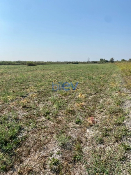 Satış  otaqlı Torpaq  20000m², Göyçay