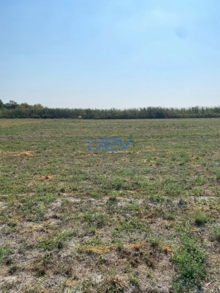 Satış  otaqlı Torpaq  20000m², Göyçay