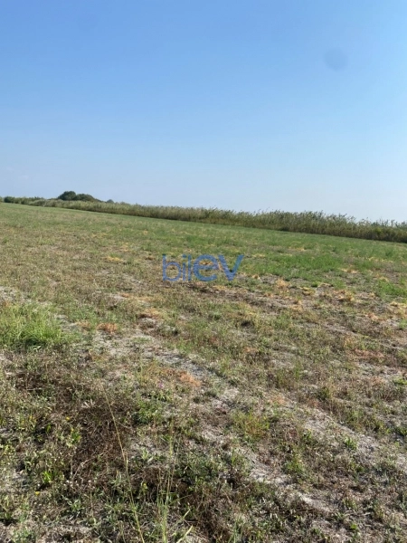Satış  otaqlı Torpaq  20000m², Göyçay