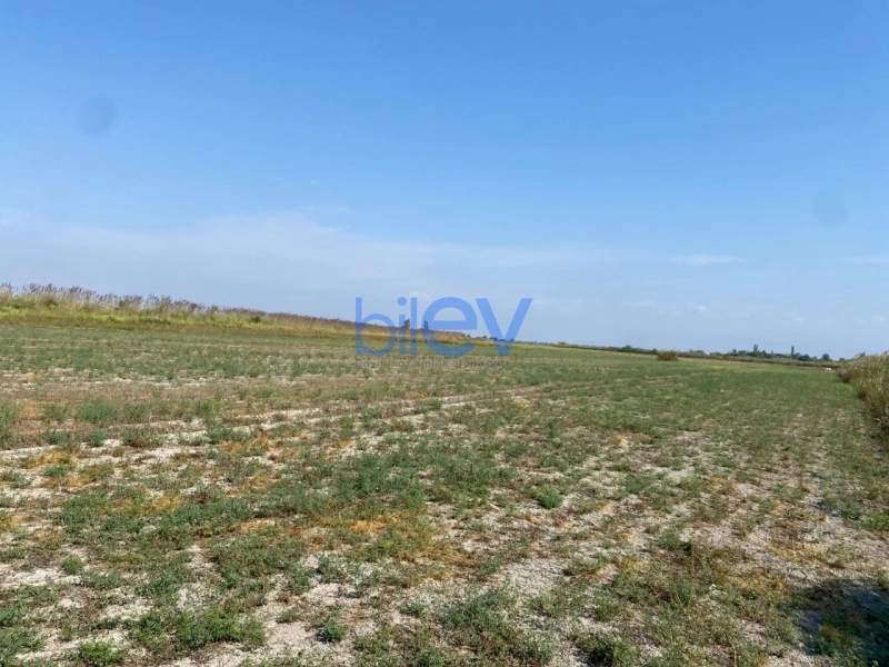 Satış  otaqlı Torpaq  20000m², Göyçay