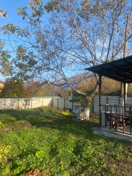 Günlük Kirayə 3 otaqlı Bağ evi  m², Qəbələ