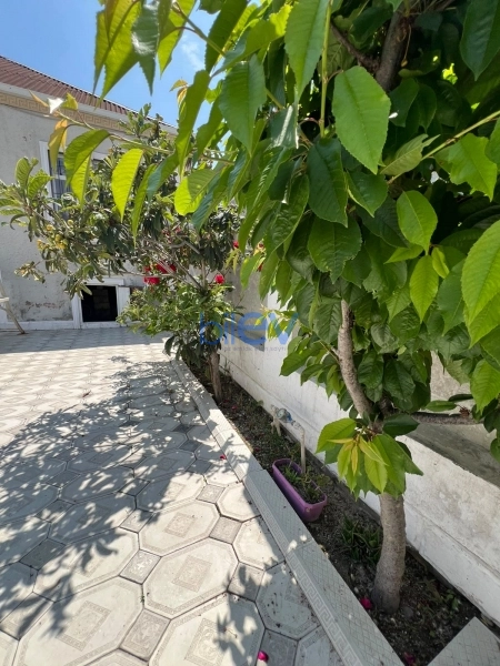 Satış 3 otaqlı Torpaq  110m², Bakı