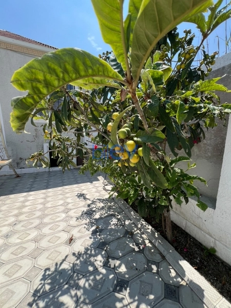Satış 3 otaqlı Torpaq  110m², Bakı