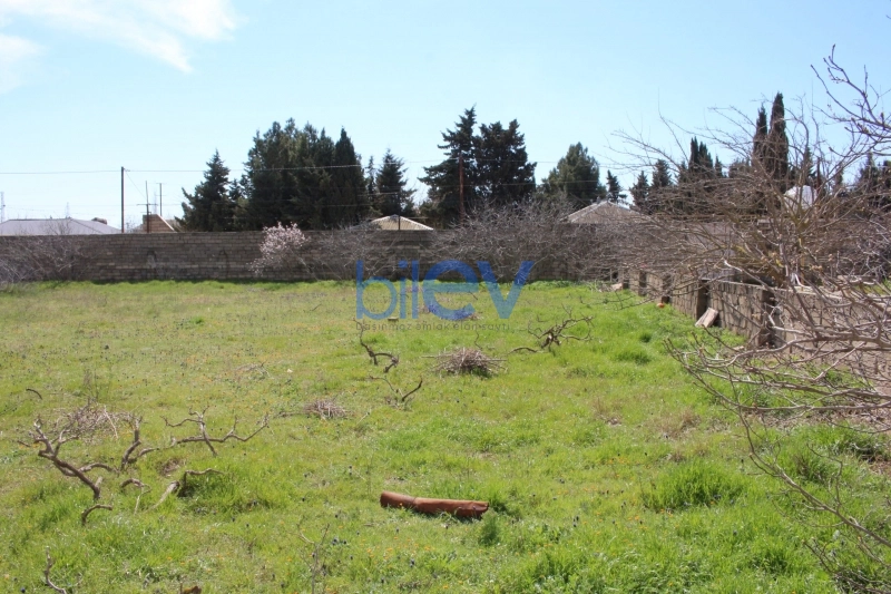 Satış  otaqlı Torpaq  3300m², Bakı