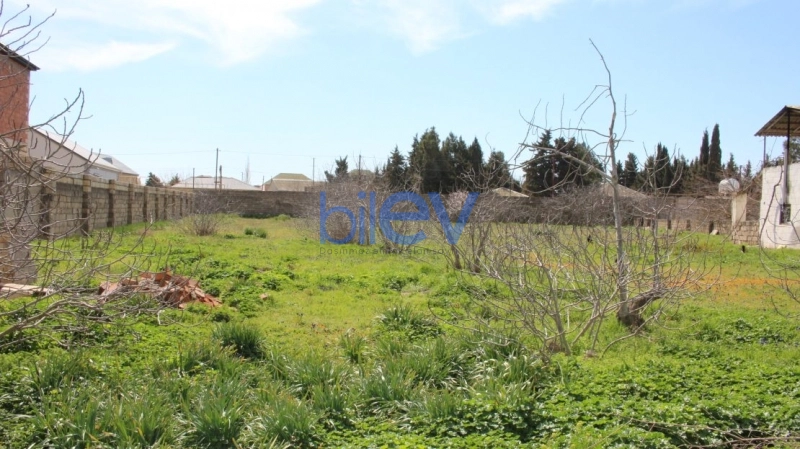 Satış  otaqlı Torpaq  3300m², Bakı