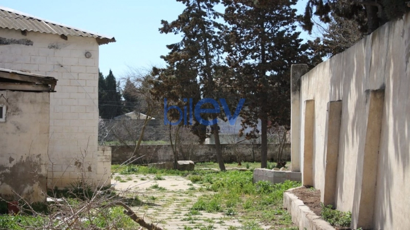 Satış  otaqlı Torpaq  3300m², Bakı