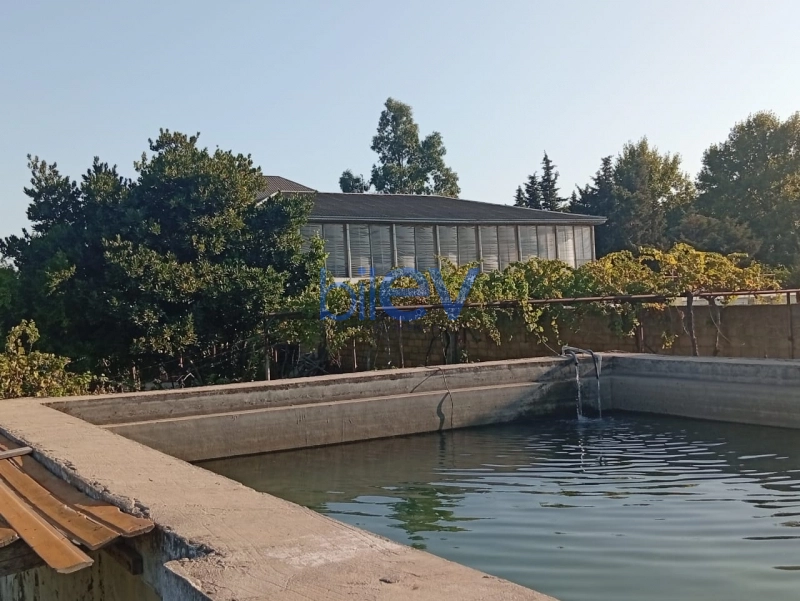 Satış  otaqlı Torpaq  12m², Bakı