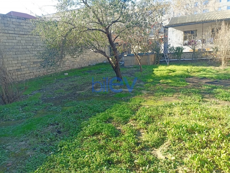 Satış  otaqlı Torpaq  770m², Bakı