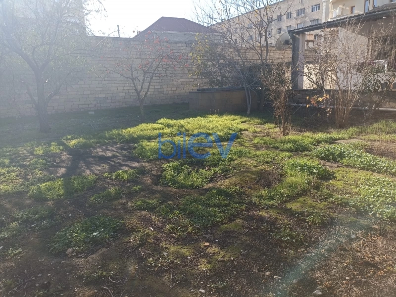 Satış  otaqlı Torpaq  770m², Bakı