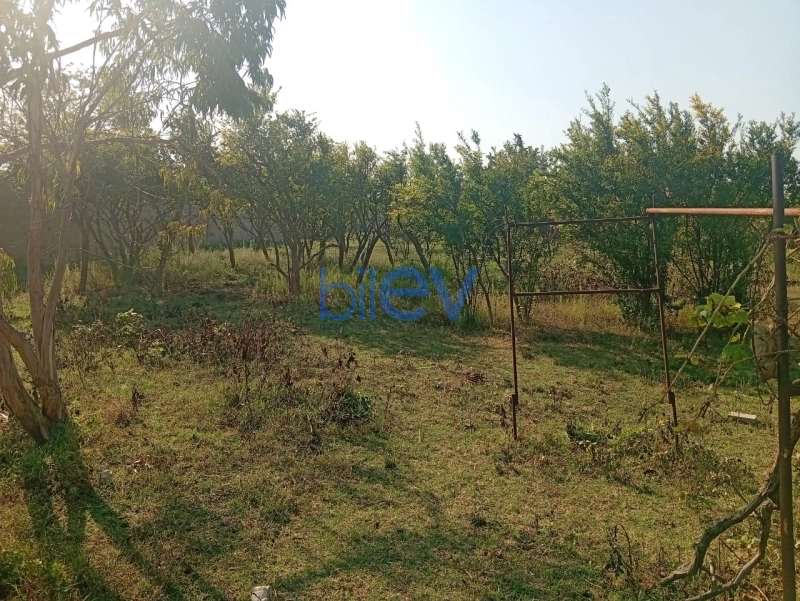 Satış  otaqlı Torpaq  21m², Bakı