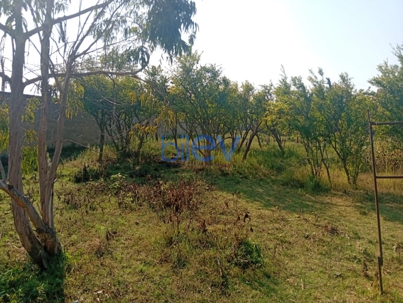 Satış  otaqlı Torpaq  21m², Bakı