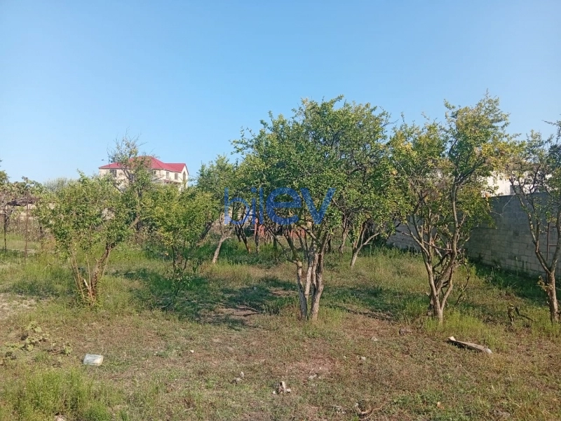 Satış  otaqlı Torpaq  21m², Bakı