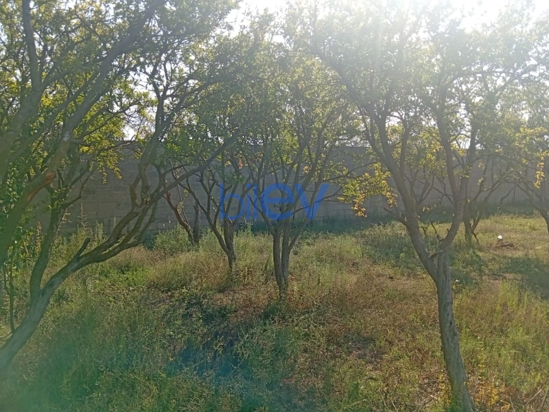 Satış  otaqlı Torpaq  21m², Bakı