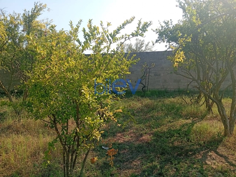 Satış  otaqlı Torpaq  21m², Bakı