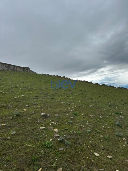 Satış  otaqlı Torpaq  3700m², Bakı