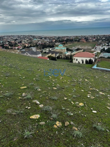 Satış  otaqlı Torpaq  3700m², Bakı