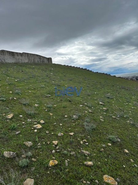 Satış  otaqlı Torpaq  3700m², Bakı