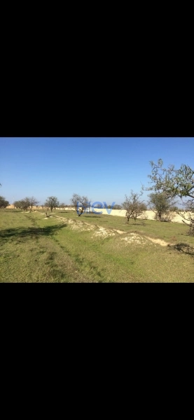 Satış  otaqlı Torpaq  3700m², Bakı
