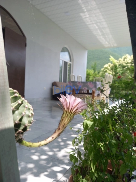 Satış 3 otaqlı Bağ evi  120m², Şəki