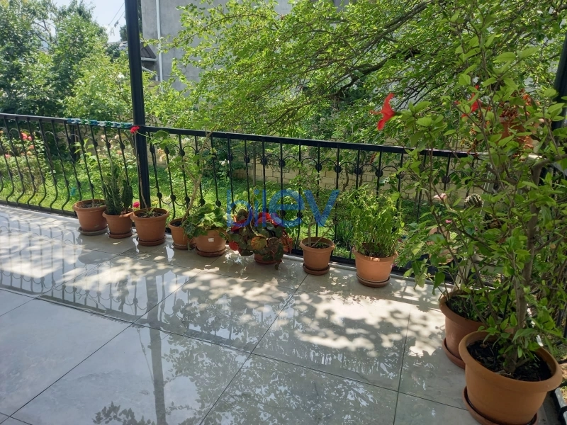 Satış 3 otaqlı Bağ evi  120m², Şəki