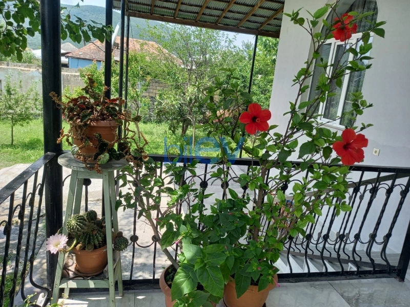 Satış 3 otaqlı Bağ evi  120m², Şəki