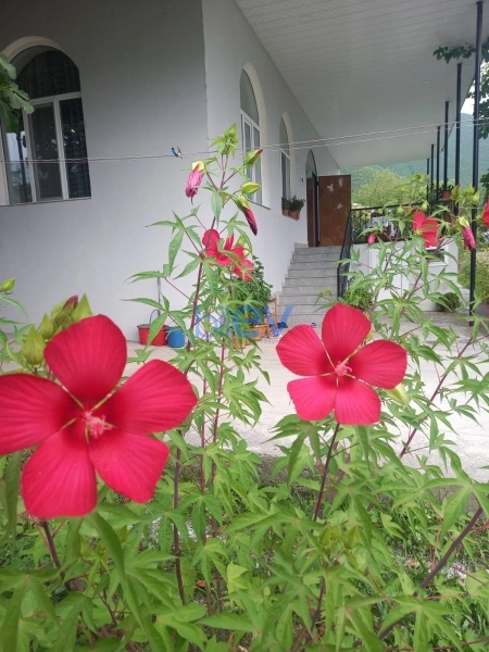 Satış 3 otaqlı Bağ evi  120m², Şəki